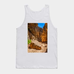 Lick Wash Trail Hike Tank Top